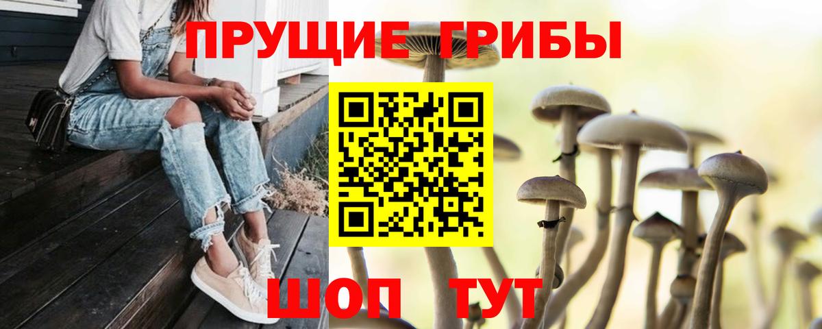 Галлюциногенные грибы Cubensis  Галлюциногенные грибы мухоморы  Артёмовский  Вход с VPN 