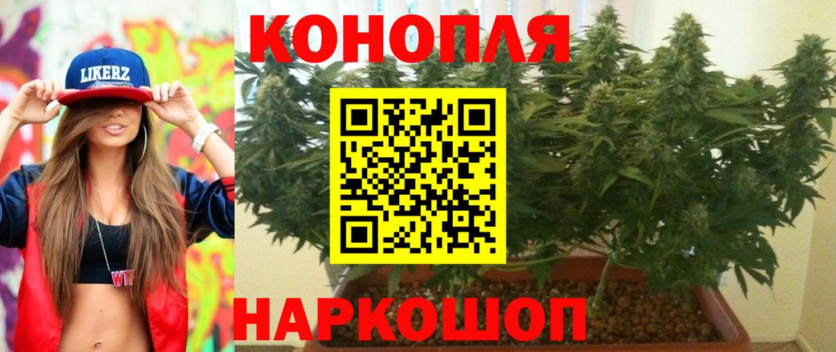 Марихуана марихуана  Марихуана план  Вход с VPN  Конопля гибрид  Артёмовский  Бошки Шишки Bruce Banner 